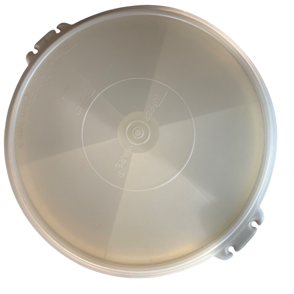 Vintage Tupperware 224-9 Round Divided Party Tray with Lid Translucent White